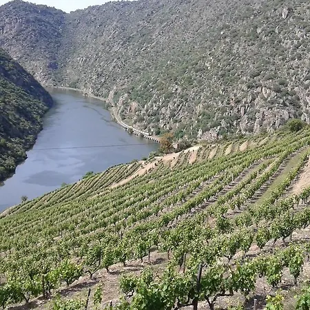 Vistadouro Σπίτι διακοπών Peso da Régua