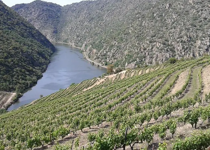 Vistadouro Casa de Férias Peso da Régua